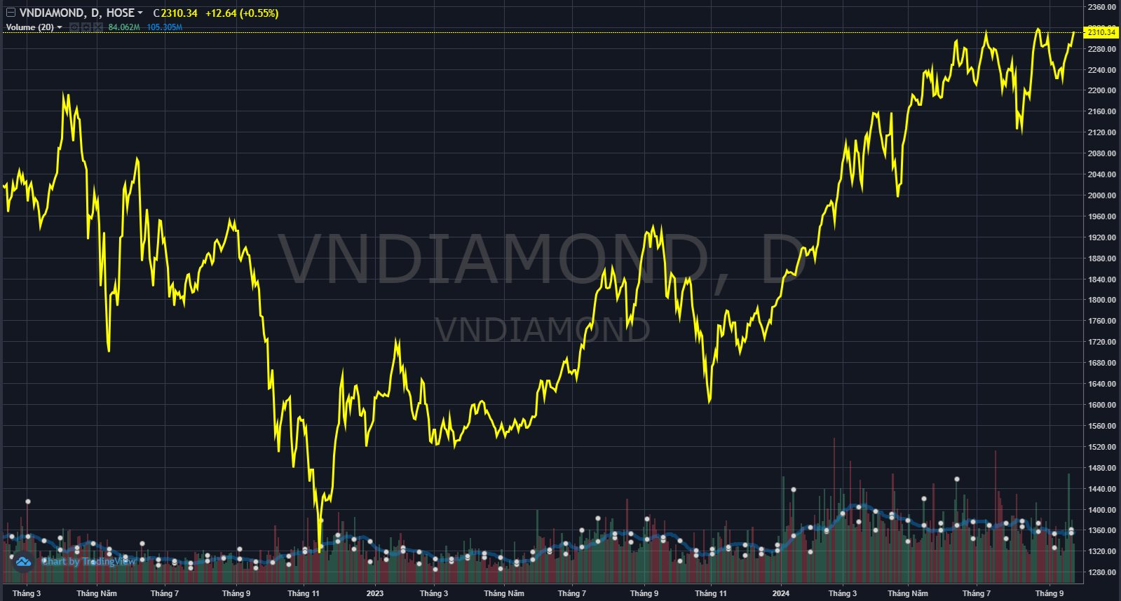 Chỉ số tăng trưởng của cổ phiếu VNDiamond
