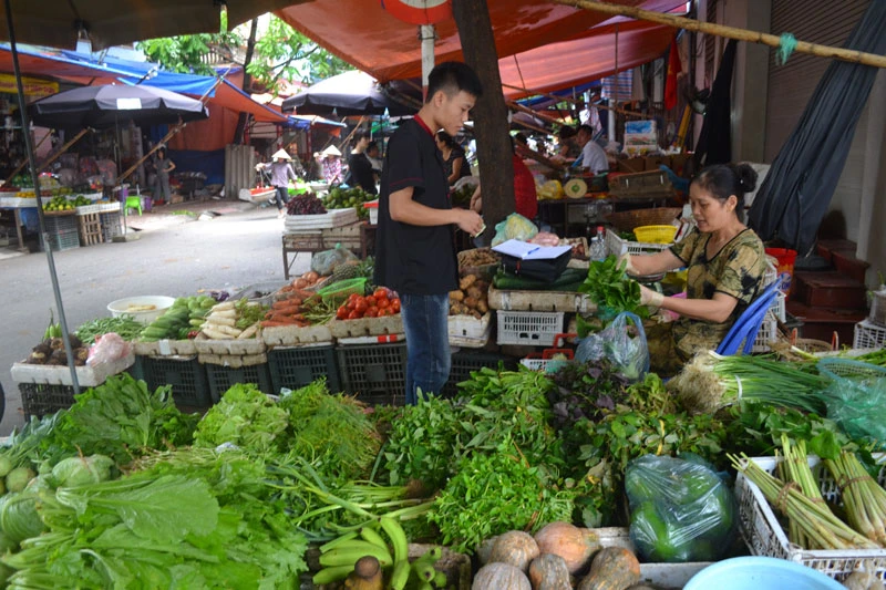 Dự báo giá rau xanh sẽ "hạ nhiệt" trong thời gian tới nhờ các biện pháp hỗ trợ