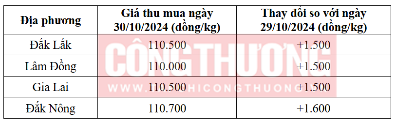 Giá cà phê hôm nay 30/10: Xuất khẩu cà phê tăng hơn 39%, đạt 4,44 tỷ USD