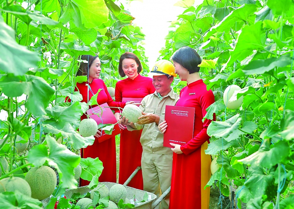 ngan-hang-trien-khai-chuong-trinh-tin-dung-uu-dai