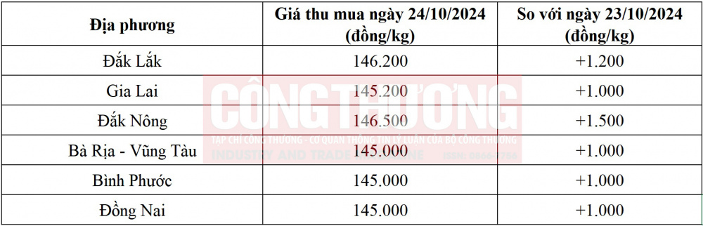 gia-tieu-hom-ngay-24/10/2024