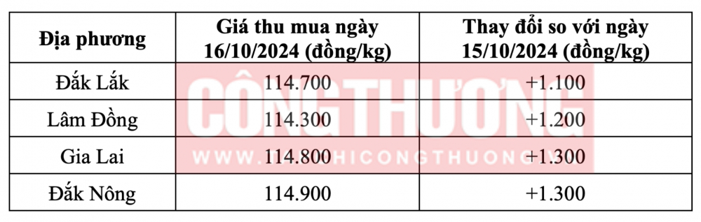 gia-ca-phe-16-10