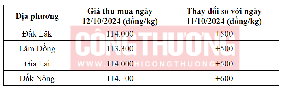 gia-ca-phe-trong-nuoc