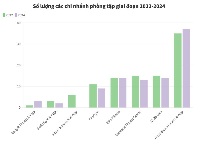 Số lượng chi nhánh các phòng gym giai đoạn 2022 - 2024