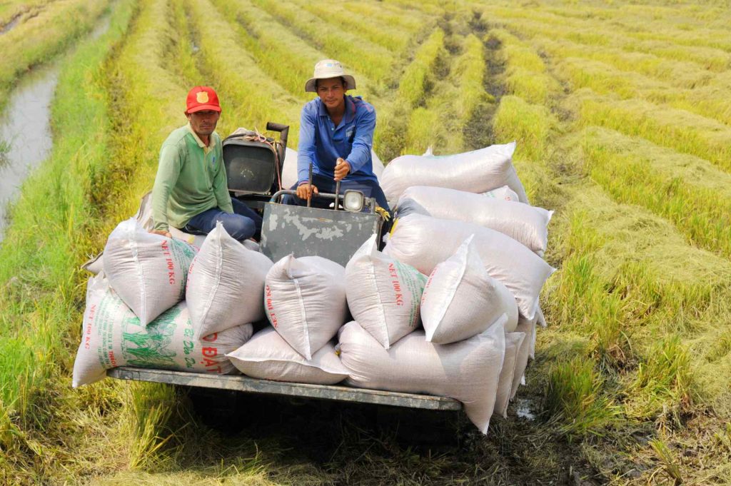 ngan-hang-nha-nuoc-ch-vay-von-uu-dai-trong-luc-phat-thai-carbon-thap