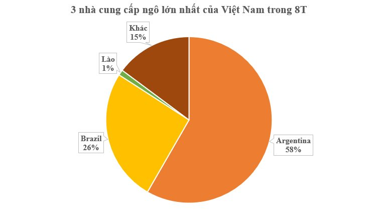 hang-chuc-nghin-tan-hang-tu-lao-do-bo-viet-nam