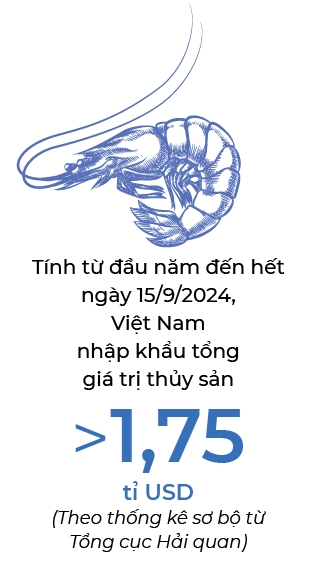 moi-nam-vua-tom-Minh-Phu-ban-khaongr-50-000-tan-tom-o-hang-chuc-quoc-gia-va-vung-lanh-tho