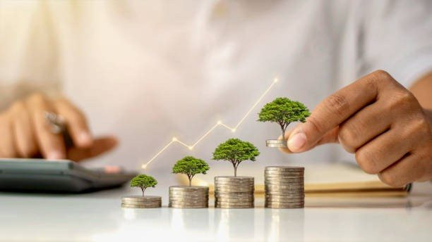Danh mục xanh, bệ phóng tín dụng xanh hướng tới phát thải ròng bằng 0 2 Việc áp dụng chuẩn quốc tế, như nguyên tắc “không gây hại đáng kể” của EU, giúp danh mục xanh Việt Nam hài hòa với xu hướng toàn cầu