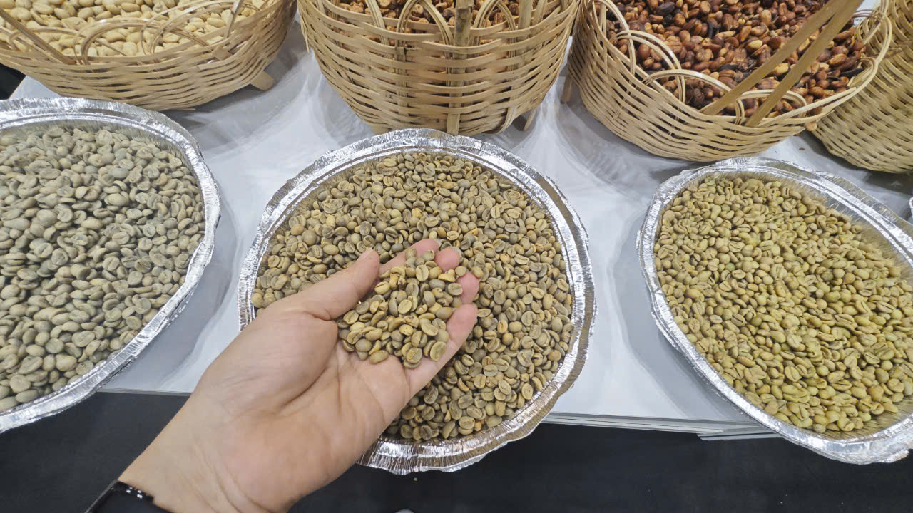 Giá cà phê tăng vọt phá kỷ lục: Nguyên nhân từ đâu và điều gì đang xảy ra? 1 Giá cà phê Robusta có thể lập mốc 6.000 USD/tấn