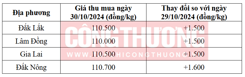 Giá Cà Phê Hôm Nay 30/10: Xuất Khẩu Cà Phê Tăng Hơn 39%, Đạt 4,44 Tỷ USD 1 giá cà phê