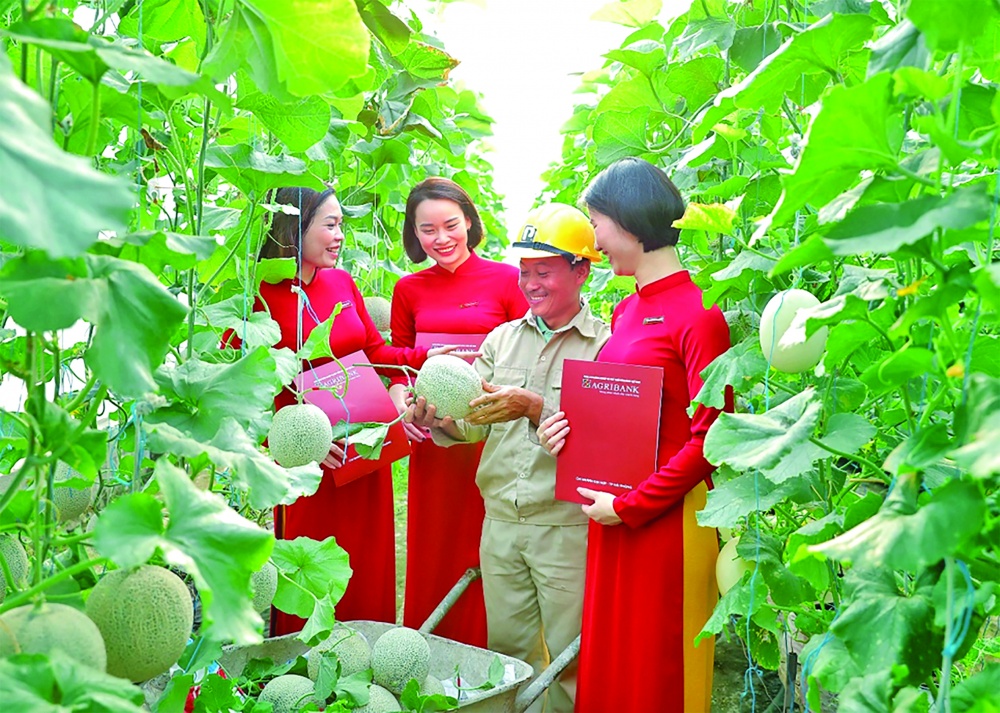 ESG Tại Việt Nam: Thách Thức Cho Các Ngân Hàng 2 ngan-hang-trien-khai-chuong-trinh-tin-dung-uu-dai