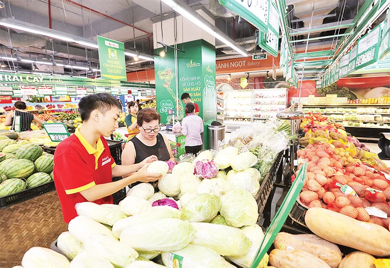 Hướng tới nền kinh tế bền vững