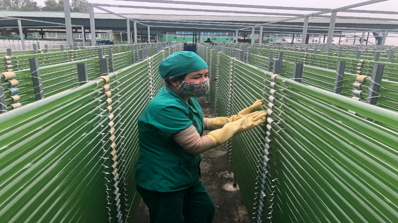 khoa học và công nghệ được doanh nghiệp áp dụng