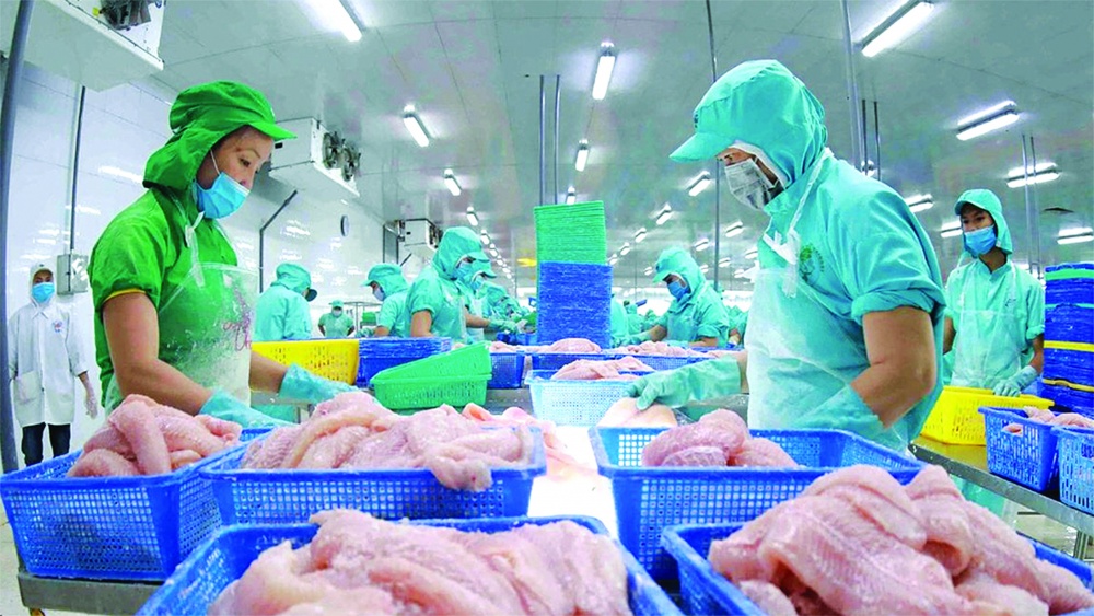Tăng trưởng xuất khẩu thủy sản Việt Nam, triển vọng và cơ hội trong năm 2025 1 các thị trường xuất khẩu thủy sản lớn của Việt Nam như Mỹ, Nhật Bản, EU, Hàn Quốc vẫn duy trì tăng trưởng ổn định