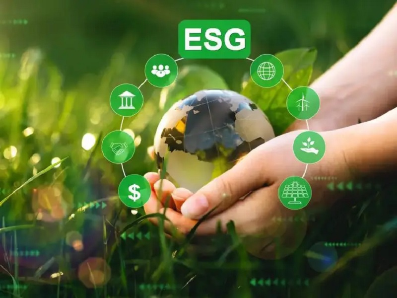 ESG Tại Việt Nam: Thách Thức Cho Các Ngân Hàng 3 ESG tại Việt NAM