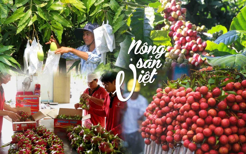Nông sản Việt gặt hái thành công tại thị trường châu Á 1 Lợi thế địa lý của "sân nhà" châu Á cũng được các doanh nghiệp đánh giá cao cho sự phát triển của nông sản Việt