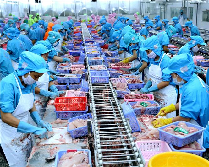 Thủy sản Việt Nam Giữ Vững Vị Thế trên Thị Trường Quốc Tế 2 Sản phẩm thủy sản