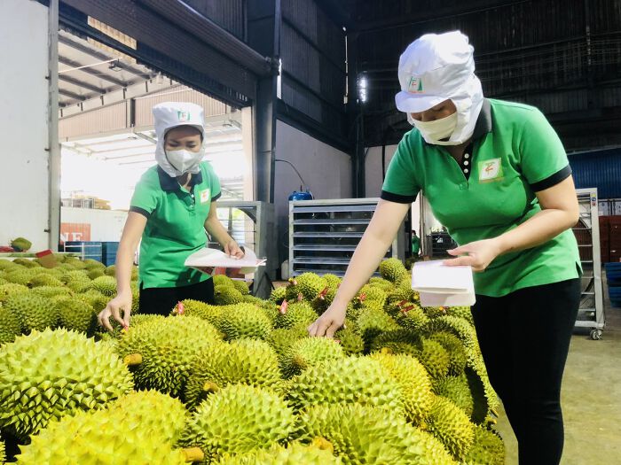 Xuất Nhập Khẩu Việt Nam 2024: Kỷ Lục Mới Với Dự Báo Đạt 800 Tỷ USD