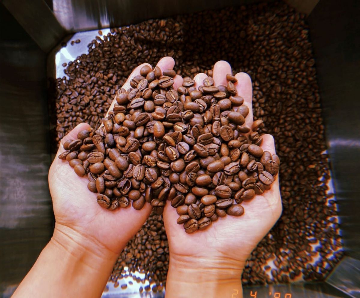 giá cà phê robusta