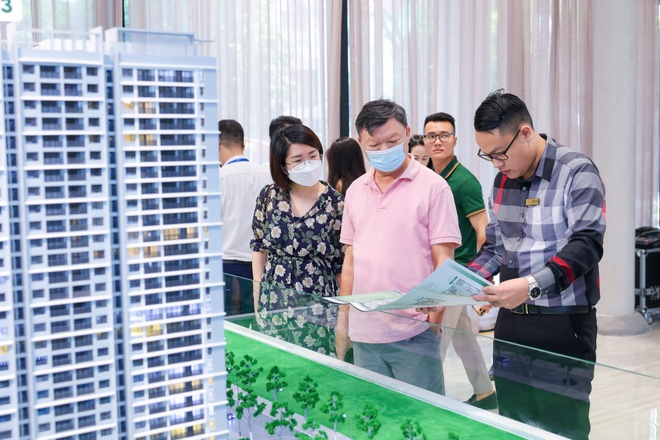 Giá Căn Hộ Thứ Cấp TP.HCM Tiếp Tục Tăng, Không Còn Tình Trạng Cắt Lỗ
