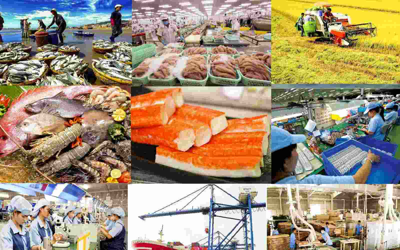Ngành Cao Su, Thủy Sản, Dệt May và Đồ Gỗ: Kỳ Vọng Bứt Phá Cuối Năm 2024 2 xuất khẩu