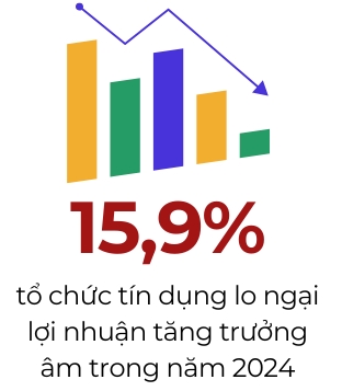 to-chuc-tin-dung-lo-ngai-loi-nhuan-tang-truong-am-trong-nam-2024