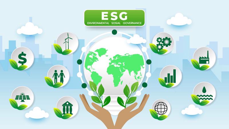 ESG Tại Việt Nam: Thách Thức Cho Các Ngân Hàng 1 phát triển bền vững ESG
