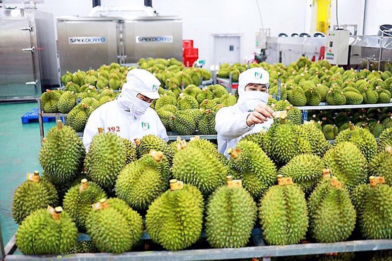 Xuất nhập khẩu Việt Nam 2024 liệu có vượt qua kỷ lục? 2 Nguoi-tieu-dung-Trung-Quoc-ngay-cang-ua-chuong-sau-rieng-chuoi-va-xoai-Viet-Nam