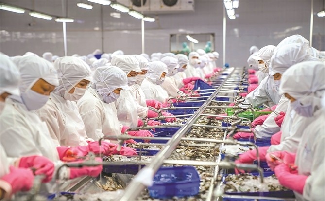 Giá trị ngàn tỉ từ phụ phẩm thủy sản từ đầu tôm, đuôi cá 1 ngành chế biến thủy sản