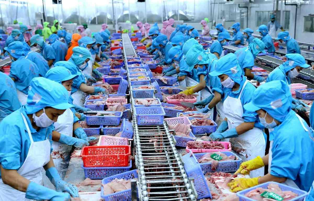 Tăng trưởng xuất khẩu thủy sản Việt Nam, triển vọng và cơ hội trong năm 2025 2 xuất khẩu thủy sản Việt Nam cũng đang đẩy mạnh việc nâng cao chất lượng sản phẩm