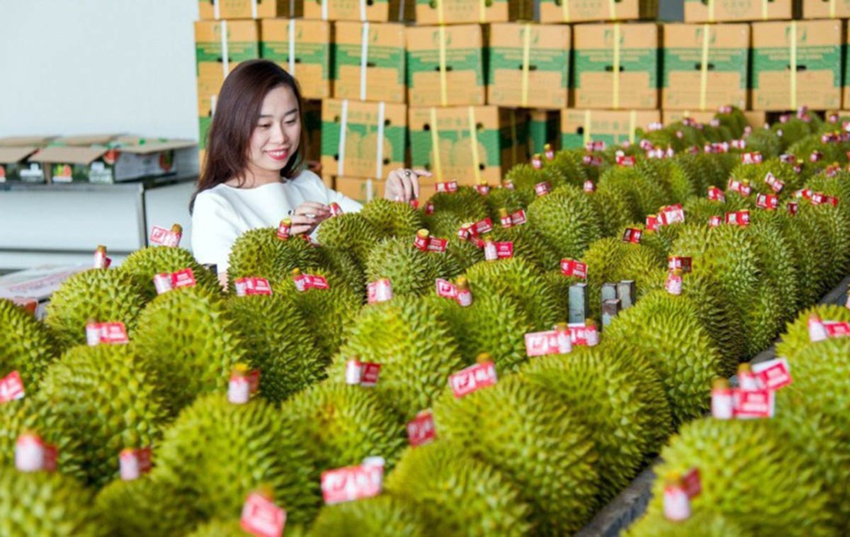 Kỳ vọng FTA thúc đẩy xuất khẩu Việt Nam cuối năm 2024