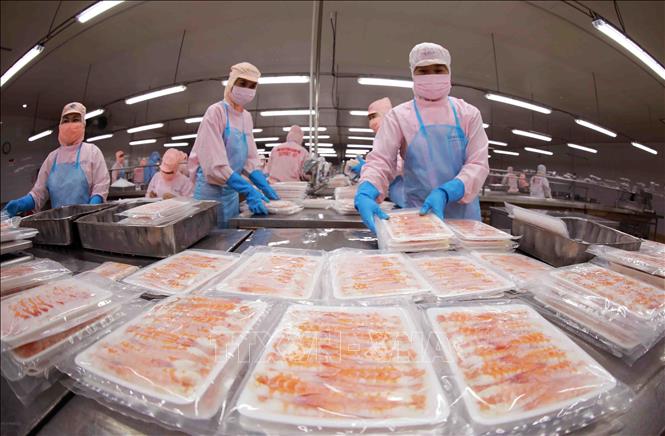 Thị trường Halal: Cơ hội lớn và khoảng trống để chinh phục