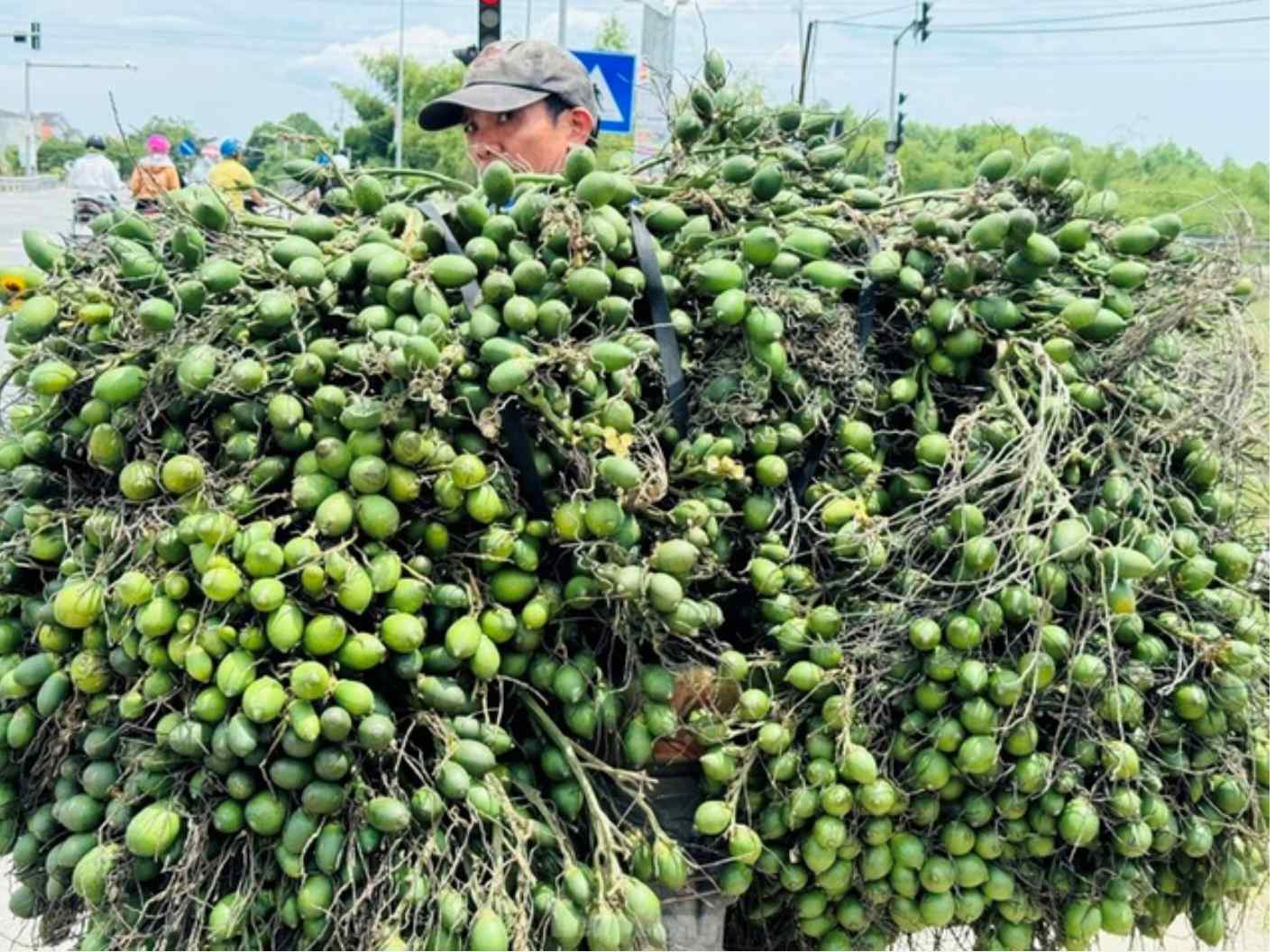 Cơn sốt giá cau và ngành công nghiệp tỷ đô 2 giá cau
