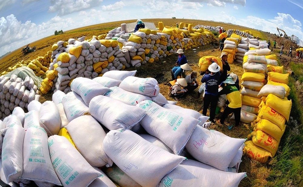 Gạo Việt dẫn đầu thị trường Philippines, vượt xa Thái Lan 1 35 1