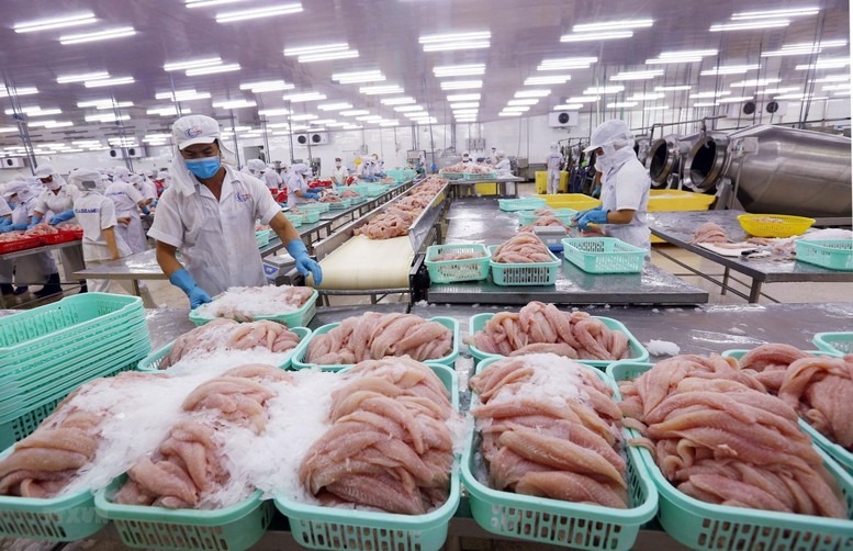 Xuất khẩu thủy sản 10 tháng đầu năm 2024 đạt 8,33 tỷ USD, tăng 12% 1 xuất khẩu thủy sản
