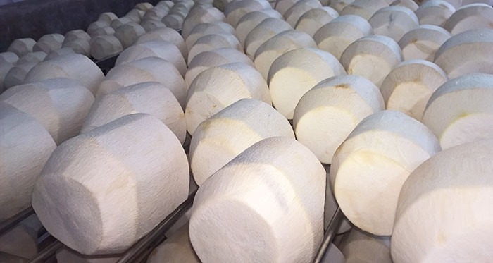 Xuất Nhập Khẩu Dừa Việt Nam Sang Mỹ Tăng 1.156%: Cơ Hội Bứt Phá Từ "Giấy Thông Hành" 2 xuất nhập khẩu