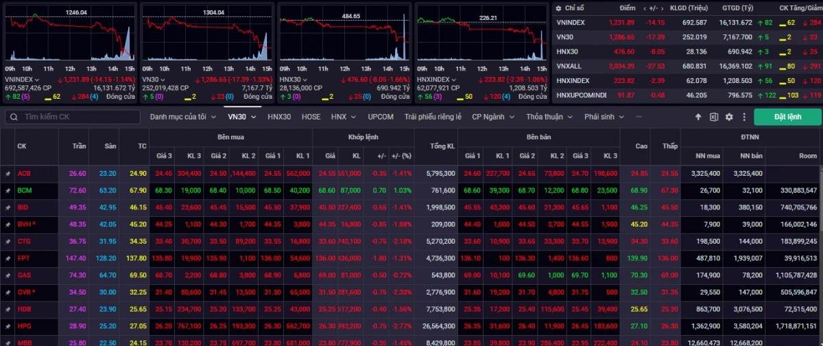 VN-Index và rào cản 1.300 điểm: Thách thức và triển vọng cuối năm 2024 2 chứng khoá giảm điểm