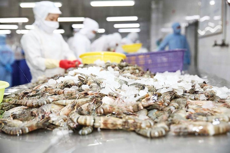 Tôm, cá tra Việt Nam: Điểm sáng xuất khẩu thị trường quốc tế 1 Tôm, cá tra Việt Nam: Điểm sáng xuất khẩu, bứt phá thị trường quốc tế
