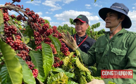 Thị trường hàng hóa thế giới hút dòng tiền từ năng lượng và nguyên liệu 2 Thị trường hàng hóa