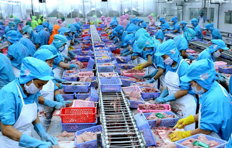 Thủy sản Việt Nam chinh phục thị trường ngách EU 1 Thuy-san-Viet-Nam-huong-loi-tu-Hiep-dinh-EVFTA