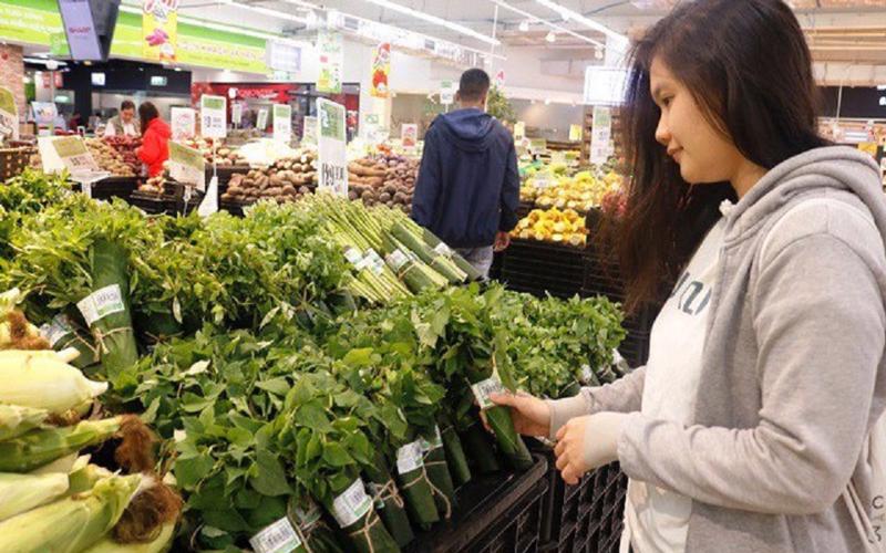 Thúc Đẩy Tiêu Dùng Xanh Tại Việt Nam: Cần Chính Sách Và Hành Động Đồng Bộ 1 tiêu dùng xanh tại Việt Nam