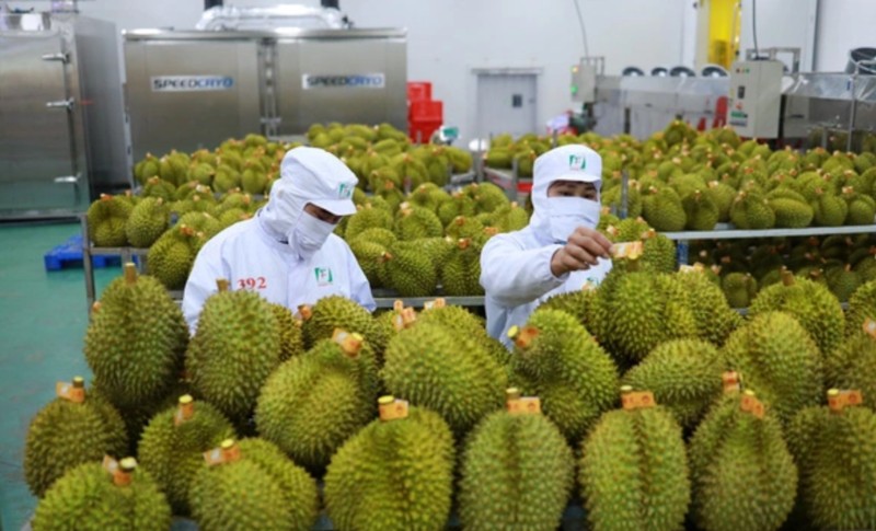 Bứt phá xuất khẩu rau quả: Việt Nam đạt 6,16 tỷ USD 2 xuất khẩu rau quả hứa hẹn đạt kỷ lục