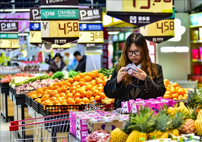 Bứt phá xuất khẩu rau quả: Việt Nam đạt 6,16 tỷ USD