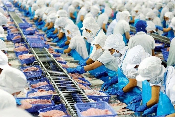 Tiềm năng xuất khẩu thủy sản Việt Nam đạt 10 tỷ USD năm 2024 2 xuat khau thuy san 2234 5741 17244586182581005232354