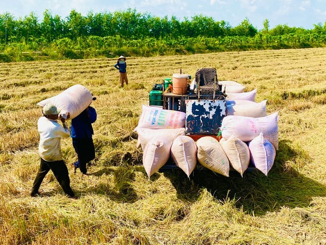 Nông sản Việt Nam ghi dấu ấn: Xuất khẩu lập kỷ lục mới năm 2024 1 nông sản việt nam