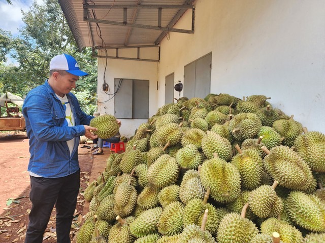 Nông sản Việt Nam ghi dấu ấn: Xuất khẩu lập kỷ lục mới năm 2024 2 nông sản việt nam