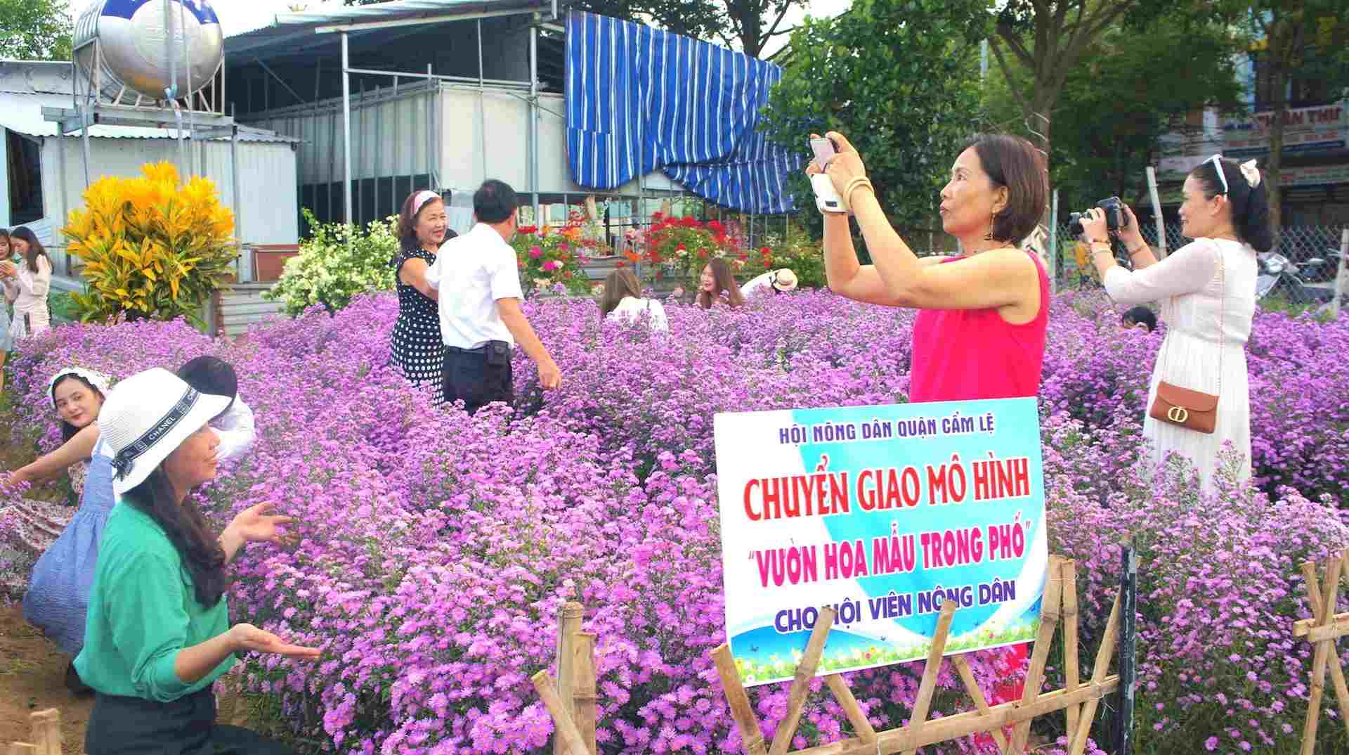 Không gian đô thị Hà Nội: Thách thức và giải pháp phát triển nông nghiệp sinh thái hiện đại 2 không gian đô thị