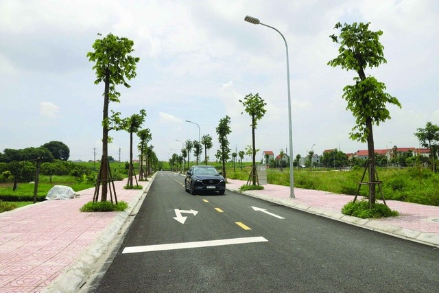 Đất nền phân lô hút khách dịp cuối năm 1 đất nền phân lô cuối năm