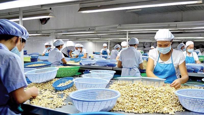 Xuất khẩu hạt điều bùng nổ, Mỹ chi 1,2 tỷ USD nhập khẩu từ Việt Nam 3 nhập khẩu