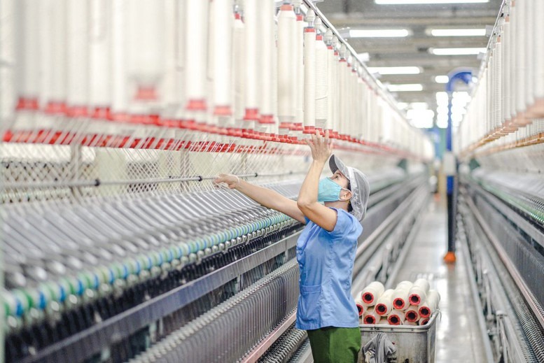 Xuất nhập khẩu Việt Nam năm 2024 đạt kỷ lục 786,29 tỷ USD 3 xuất nhập khẩu